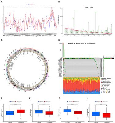 Ferroptosis-Related Gene Contributes to Immunity, Stemness and Predicts Prognosis in Glioblastoma Multiforme